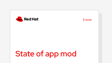 State of app mod image